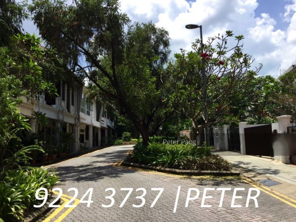 111 Emerald Hill (D9), Apartment #127347482